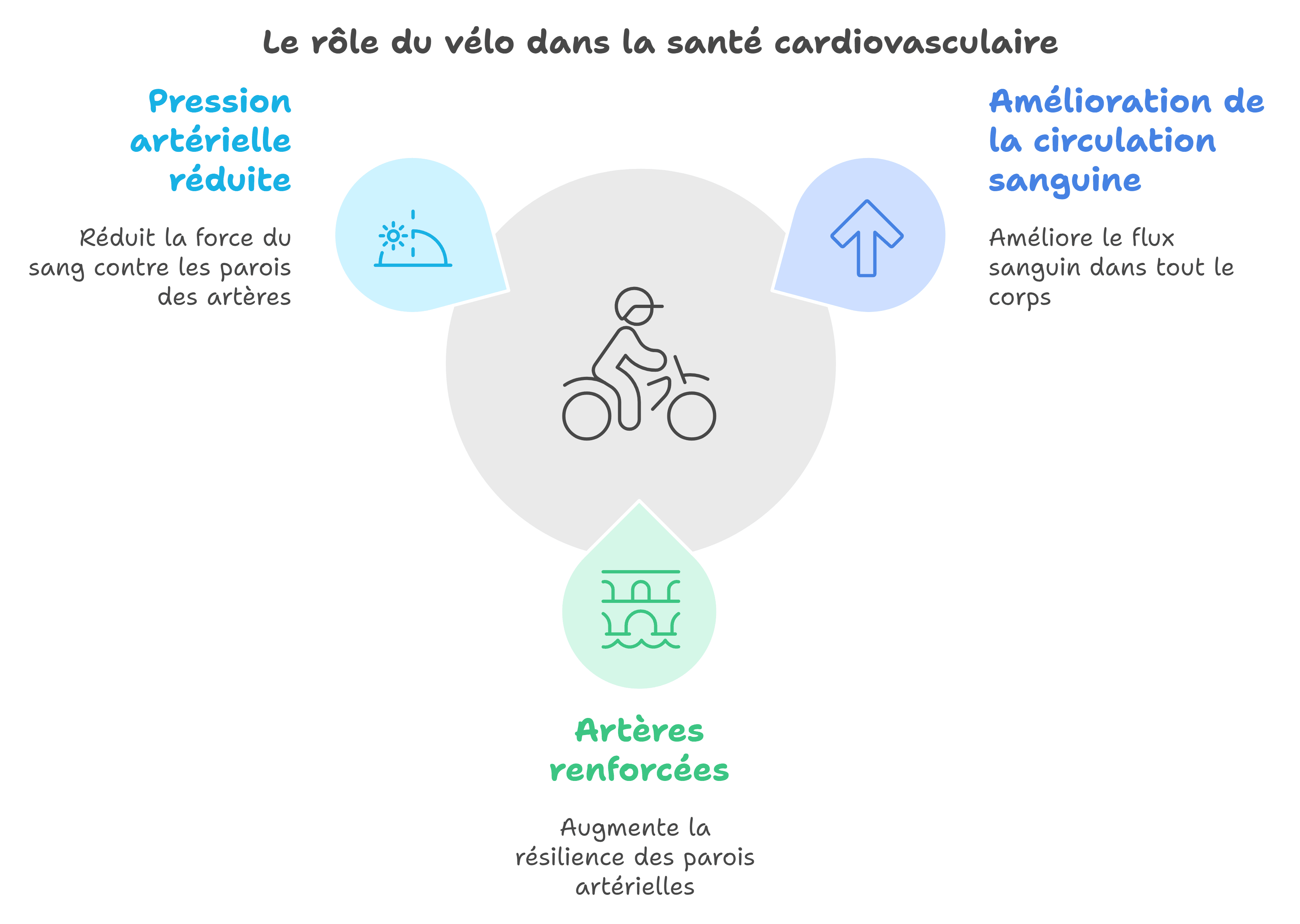 L'impact positif du vélo sur la santé cardiovasculaire.